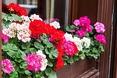 《守望先锋2》上线星战风限时活动 角色独立设置功能